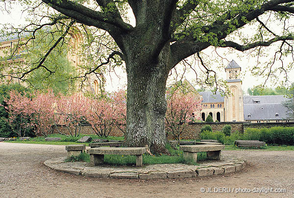 Abbaye d'Orval, Orval abbey